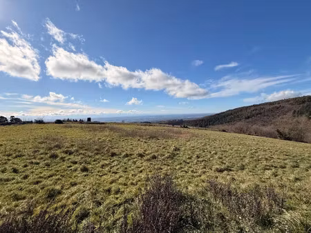 vente terrain 2600 m² à les brunels (11400)  55 000 €