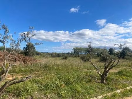 terrain constructible à vendre