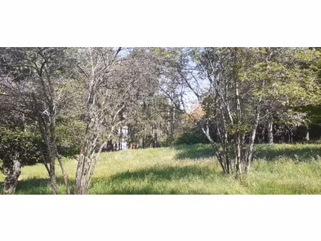 vente terrain 393 m² à saint-bonnet-en-champsaur (05500)  55 000 €