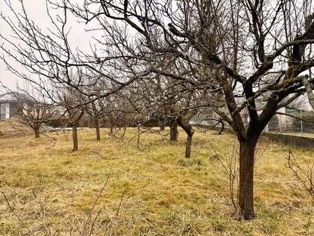 terrain constructible viabilisé à vendre