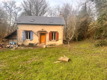 vente maison 2 pièces 54 m² ivoy-le-pré (18380)