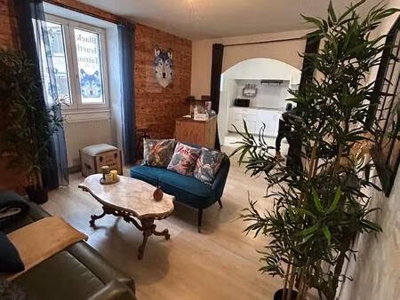 appartement t3 cosy - place saint pierre - saint chamond - centre ville