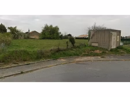 local d'activité a louer