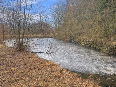 balschwiller terrain de 60 ares avec étang et source  accè