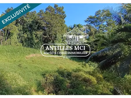 vente terrain 1632 m² à riviere salee (97215)  110 000 €