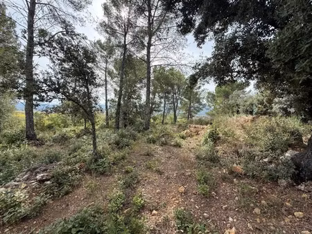 vente terrain 1020 m² à belgentier (83210)  164 500 €