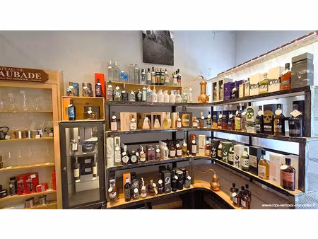 vente locaux professionnels 76 m² à villeneuve-les-avignon (30400)  425 000 €