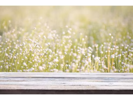 vente terrain 655 m² à le teich (33470)  310 000 €