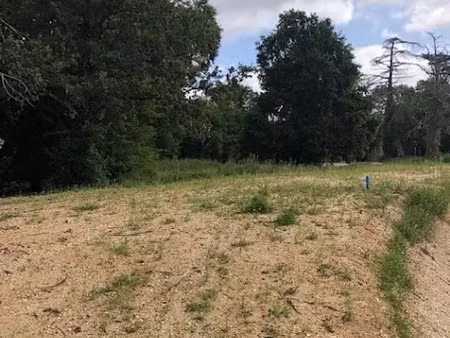 vente terrain à batir 1218 m² à bouliac (33270)  420 000 €