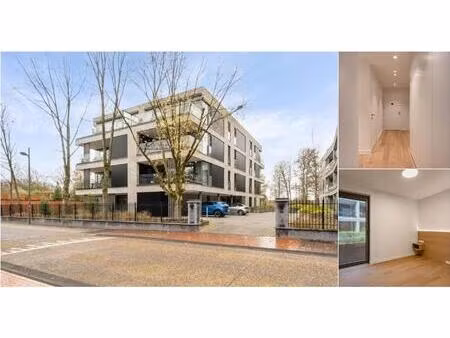 rez-de-chaussée à louer à stationsstraat 38 neerpelt (rbv16428)