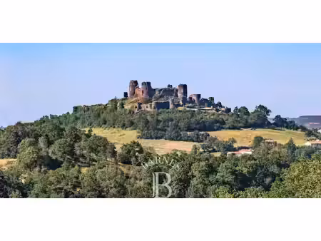 château mauzun (63)