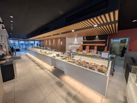 vente locaux professionnels 520 m² à guebwiller (68500)  1 924 000 €