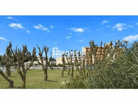 secteur boucanet - grand p3 traversant avec terrasse vue sur parc