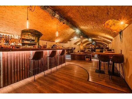 immobilier professionnel à vendre haguenau