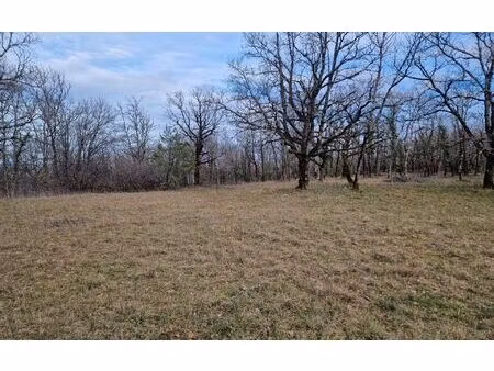 terrain chasteaux m² t- à vendre  44 000 €