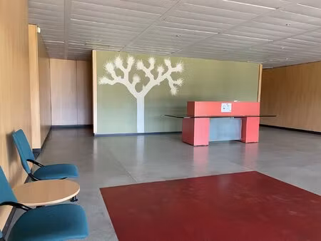 immobilier professionnel à louer canéjan