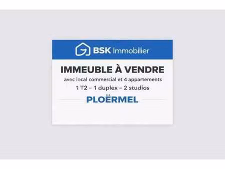 vente immeuble à ploërmel (56800) : à vendre / 247m² ploërmel