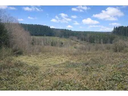 magnifique terrain à bâtir au cœur de la nature
