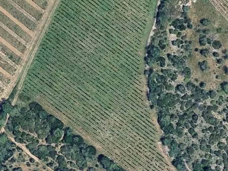 terrain agricole – 1 47 hectare