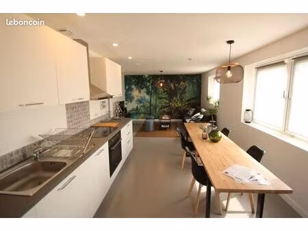 appartement 90m² 3 pièces en rdj altkirch