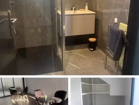 appartement 11 m² lyon 8e arrondissement