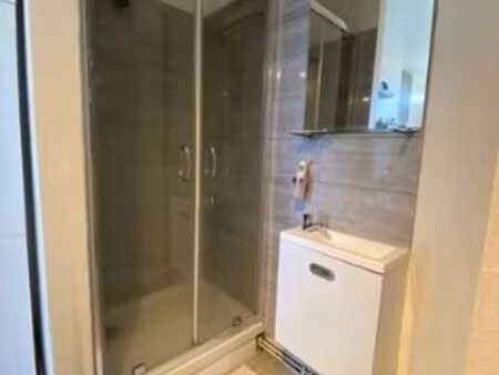 studio 1 pièce 20 m²