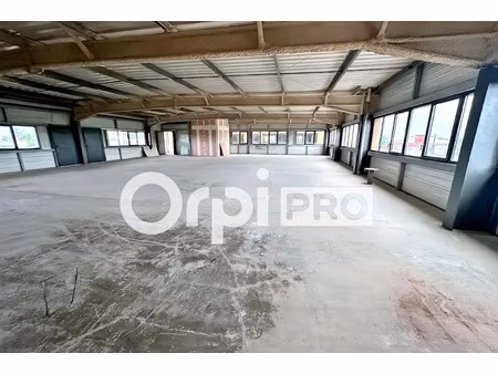 location locaux professionnels 317 m² à saint-françois (97118)  9 550 €