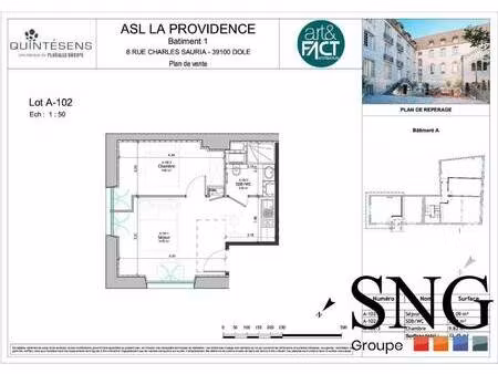 s.n.g immobilier