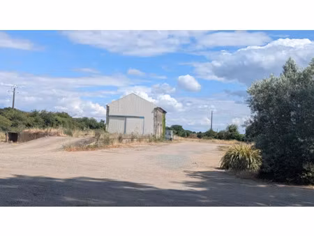 location locaux professionnels 150 m² à oulmes (85420)  450 €