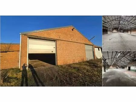 surface industrielle à louer à buggenhout (rbv16643)