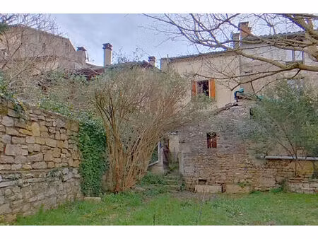 maison avec jardin bruniquel