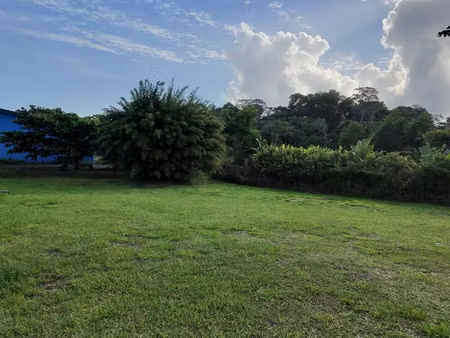 vente terrain constructible 809m2 macouria 72 000eur