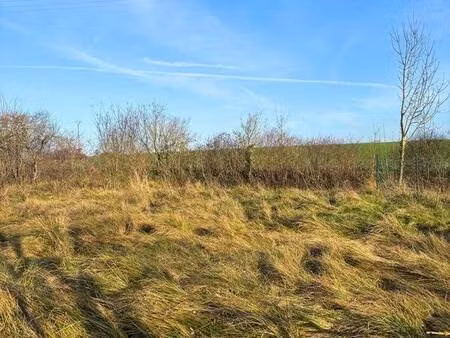 vitoriano palmira agent mandataire optimhome