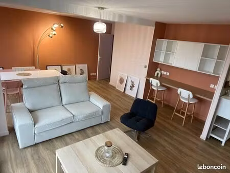 location chambre + sdb dans appartement de 94m2 - centre ville