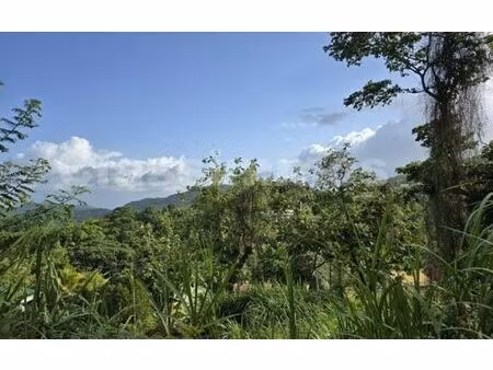 terrain le vauclin m² t- à vendre  527 000 €