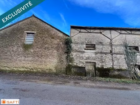 rare sur le marché  grand hangar de plus de 400 m2