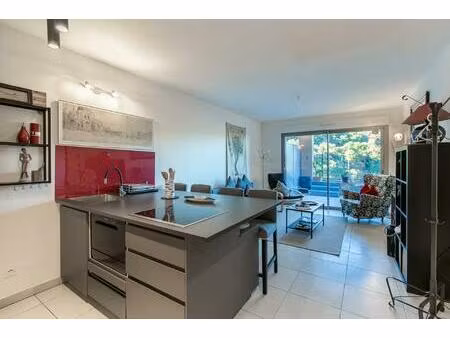 superbe 2 pièces de 46 m2 avec terrasse  cave et parking  théoule sur mer