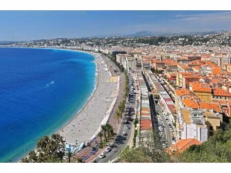 viager occupé - t2 rénové nice centre / gambetta