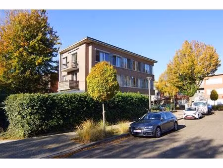 appartement te huur in wilrijk met 2 slaapkamers