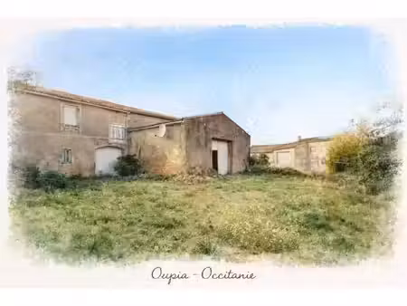 maison à vendre oupia 10 pièce(s) 251m2 199 000€