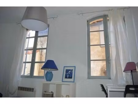 location appartement 1 pièce 20 m² à arles (13200)