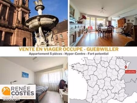 appartement en viager 5 pièces 131 m²