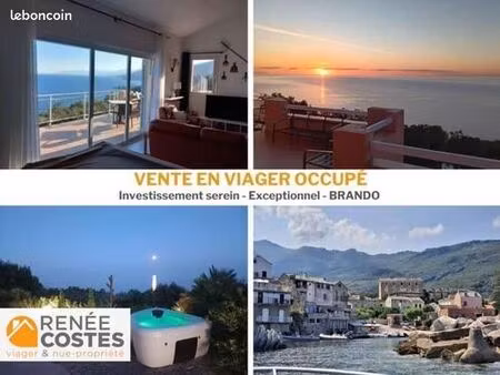 maison en viager 6 pièces 174 m²