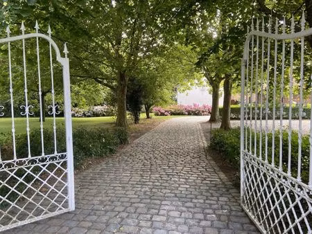 we konden niet langer zwijgen...coming soon op 8.069 m²