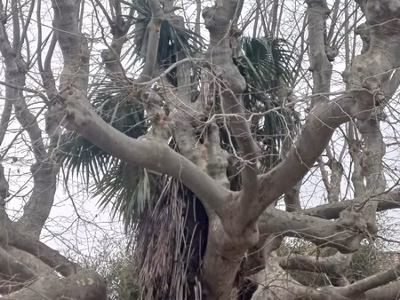 achat terrain 2 046m² la garde 83130