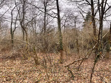 vente terrain 1126 m² aubigny-sur-nère (18700)