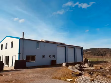 vente maison 5 pièces 190 m² à anould (88650)  320 000 €