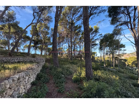 annonce terrain à vendre