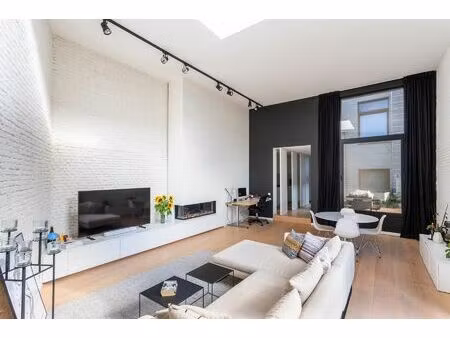 loft op 't zuid met 2 terrassen