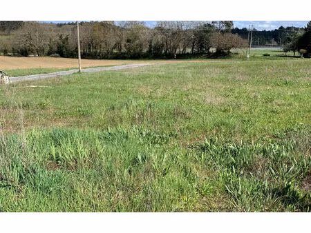 vente terrain à construire 1087 m² la lande-de-fronsac (33240)